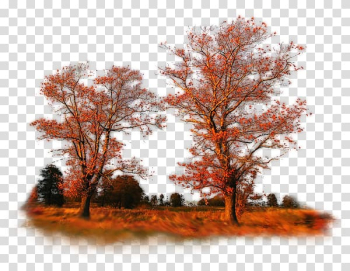 Autumn, autumn transparent background PNG clipart Autumn, autumn transparent background PNG clipart