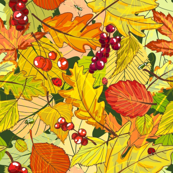 autumn background autumn background