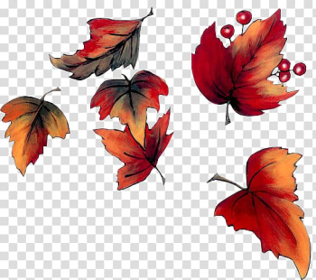 Autumn Blog , autumn transparent background PNG clipart Autumn Blog , autumn transparent background PNG clipart