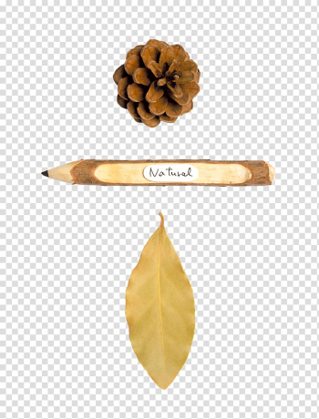 Autumn blot transparent background PNG clipart Autumn blot transparent background PNG clipart