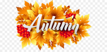Autumn Clip art - Autumn Decorative Image PNG Clipart Autumn Clip art - Autumn Decorative Image PNG Clipart