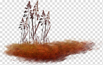 Autumn Collage , Nature art transparent background PNG clipart Autumn Collage , Nature art transparent background PNG clipart