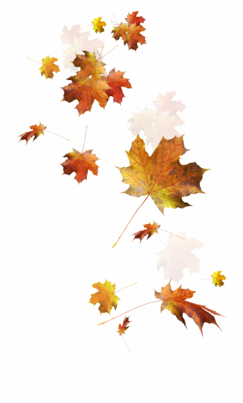 Autumn Color Leaves Leaf Falling Download Hd Png Clipart - Falling ...