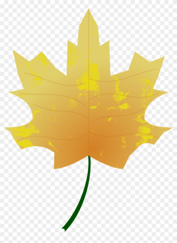 Autumn Colours Fall Leaf Nature Png Image - Autumn Autumn Colours Fall Leaf Nature Png Image - Autumn