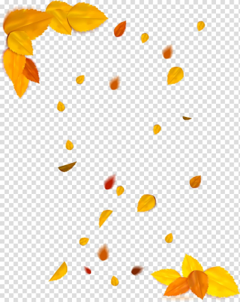 Autumn Deciduous Vecteur, autumn leaves transparent background PNG clipart