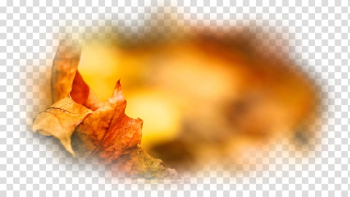 Autumn Desktop Painting Leaf, autumn transparent background PNG clipart Autumn Desktop Painting Leaf, autumn transparent background PNG clipart