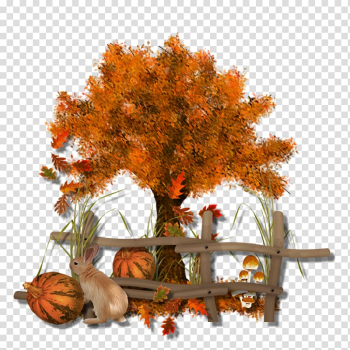Autumn Drawing , autumn transparent background PNG clipart Autumn Drawing , autumn transparent background PNG clipart
