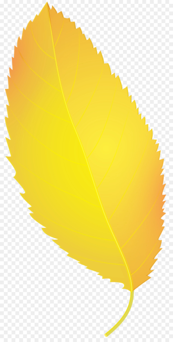 Autumn, Drawing, Leaf, Yellow PNG Autumn, Drawing, Leaf, Yellow PNG