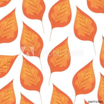 autumn dry leafs nature pattern autumn dry leafs nature pattern