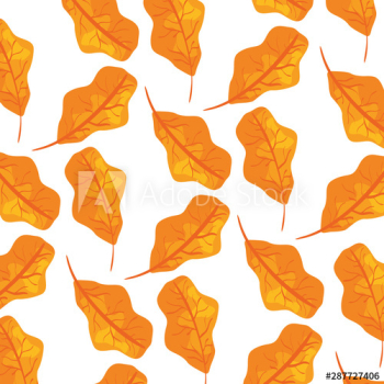 autumn dry leafs nature pattern autumn dry leafs nature pattern