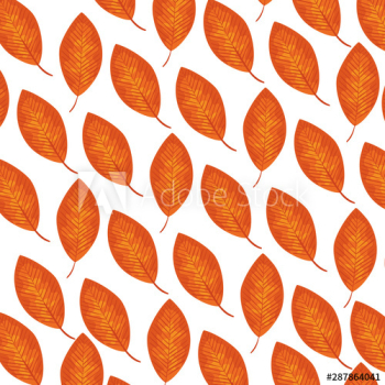 autumn dry leafs nature pattern autumn dry leafs nature pattern