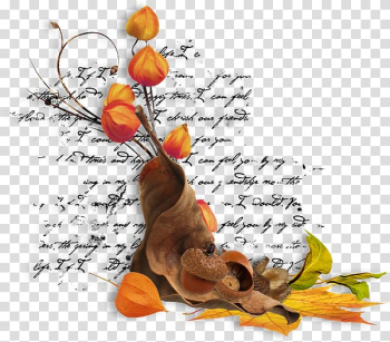 Autumn elements transparent background PNG clipart