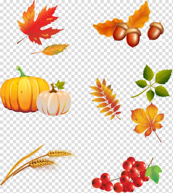 Autumn Encapsulated PostScript , autumn transparent background PNG clipart Autumn Encapsulated PostScript , autumn transparent background PNG clipart