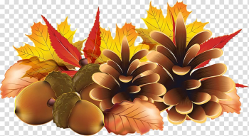 Autumn Encapsulated PostScript , fall transparent background PNG clipart