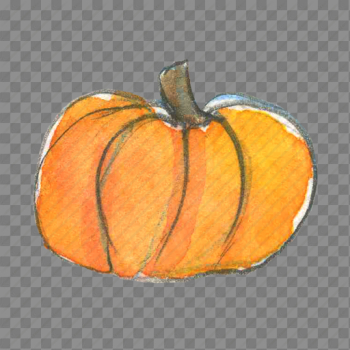 Autumn, fall, halloween, harvest, pumpkin, squash, thanksgiving icon