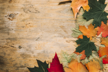 Autumn fall leaves on wooden background Photo | Free Download