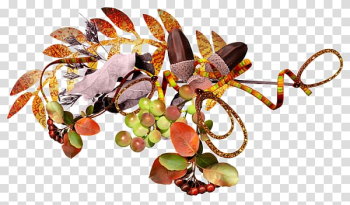 Autumn Flower Season 12.05.2018, autumn transparent background PNG clipart Autumn Flower Season 12.05.2018, autumn transparent background PNG clipart