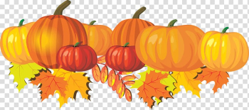 Autumn Free content Harvest festival , Fall Mum transparent background PNG clipart