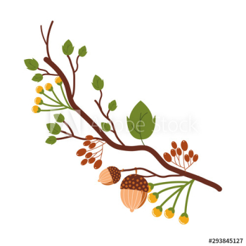 autumn fruit dry with leafs seasonal icon autumn fruit dry with leafs seasonal icon