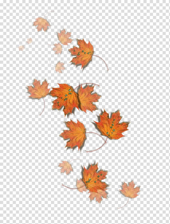 Autumn Fungus Leaf Pileus, autumn transparent background PNG clipart