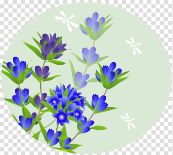 Autumn Higan Gentiana scabra 四季 Tsukimi, autumn transparent background PNG clipart