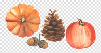 Autumn Illustration, Autumn harvest season transparent background PNG clipart Autumn Illustration, Autumn harvest season transparent background PNG clipart