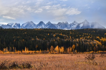 Autumn Landscape Autumn Landscape