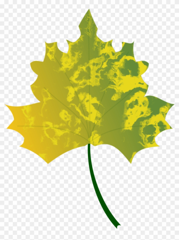 Autumn Leaf 1 - Autumn Leaf 1 Autumn Leaf 1 - Autumn Leaf 1