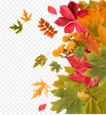 Autumn Leaf - Autumn leaves decoration Autumn Leaf - Autumn leaves decoration