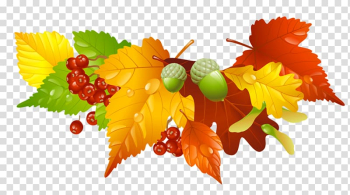 Autumn Leaf , autumn transparent background PNG clipart Autumn Leaf , autumn transparent background PNG clipart