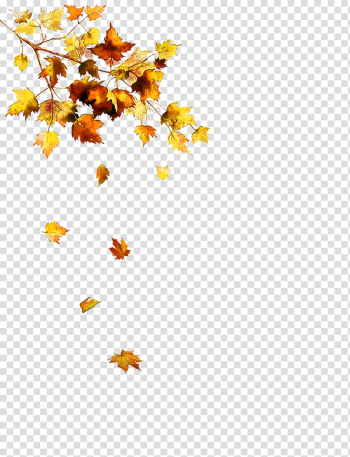 Autumn Leaf , autumn transparent background PNG clipart Autumn Leaf , autumn transparent background PNG clipart