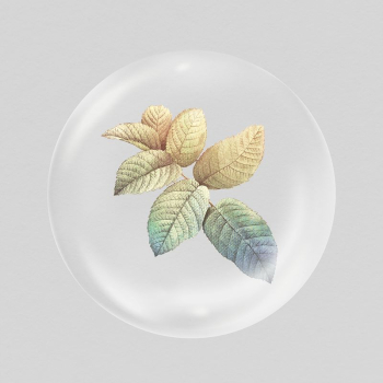 Autumn leaf branch sticker, botanical | Free PSD - rawpixel Autumn leaf branch sticker, botanical | Free PSD - rawpixel