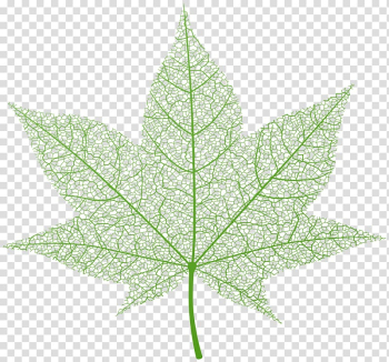 Autumn leaf color , autumn leaf border transparent background PNG clipart Autumn leaf color , autumn leaf border transparent background PNG clipart