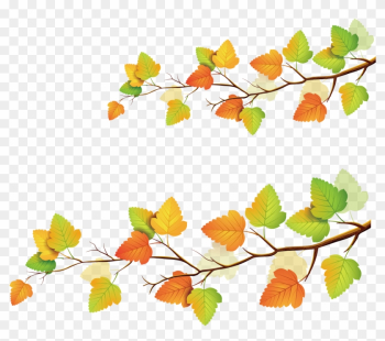 Autumn Leaf Color - Autumn Leaf Color Autumn Leaf Color - Autumn Leaf Color