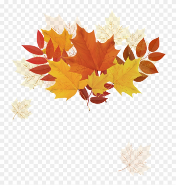 Autumn Leaf Color - Autumn Leaf Color Autumn Leaf Color - Autumn Leaf Color