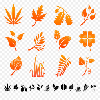 Autumn leaf color Autumn leaf color - Autumn leaves Autumn leaf color Autumn leaf color - Autumn leaves