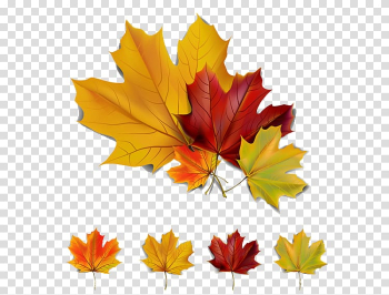 Autumn leaf color Autumn leaf color , Autumn Maple Leaf transparent background PNG clipart