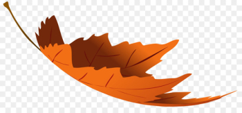 Autumn leaf color Autumn leaf color Clip art - autumn leaves Autumn leaf color Autumn leaf color Clip art - autumn leaves