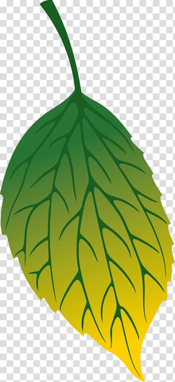 Autumn leaf color Autumn leaf color Defoliacixf3, Autumn leaves decoration transparent background PNG clipart