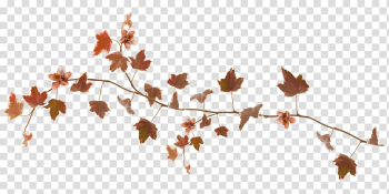 Autumn leaf color Autumn leaf color Desktop GIF, Leaf transparent background PNG clipart