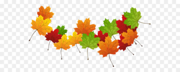 Autumn leaf color Autumn leaf color - Fall Transparent Leaves 