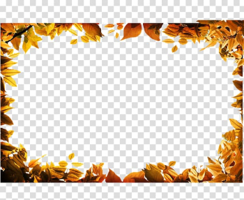 Autumn leaf color Autumn leaf color , Gold leaf frame video transparent background PNG clipart