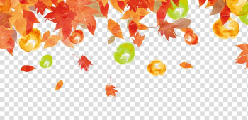 Autumn leaf color Autumn leaf color Illustration, Autumn leaves transparent background PNG clipart