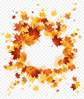 Autumn leaf color Autumn leaf color Maple leaf - Autumn Maple Leaf 