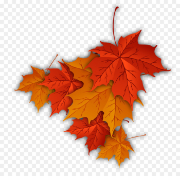 Autumn leaf color Autumn leaf color Maple leaf - Maple Leaf Autumn leaf color Autumn leaf color Maple leaf - Maple Leaf