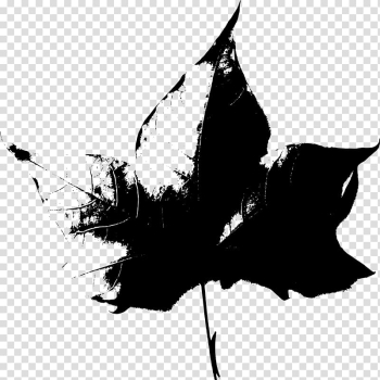 Autumn leaf color Autumn leaf color Music , falling transparent background PNG clipart