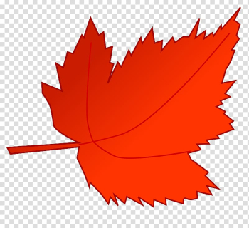 Autumn leaf color Autumn leaf color Red , Fall Trees transparent background PNG clipart