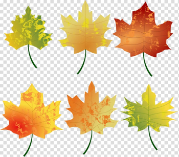 Autumn leaf color Autumn leaf color , WATERCOLOR LEAF transparent background PNG clipart