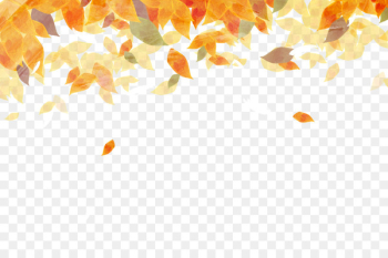 Autumn leaf color Autumn leaf color Watercolor painting - Beautiful watercolor autumn leaves 