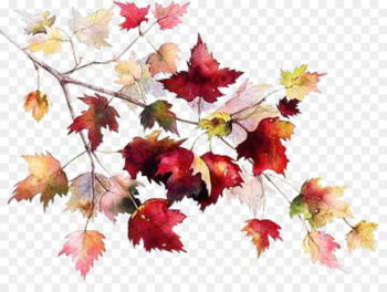 Autumn leaf color China Glaze Drawing Image - autumn Autumn leaf color China Glaze Drawing Image - autumn